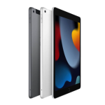 iPad Gen 9 4G 256GB 99% 
