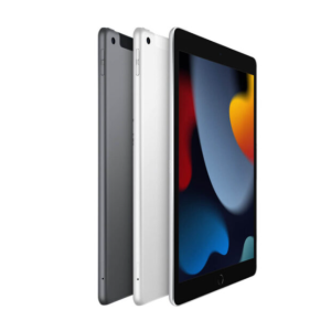 iPad Gen 9 256GB 99%