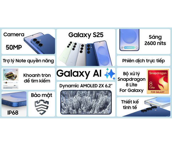 Samsung Galaxy S25 256GB