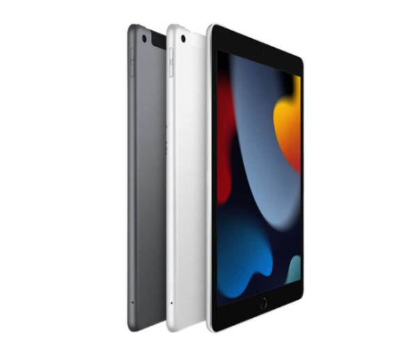 iPad Gen 9 4G 256GB 99% 