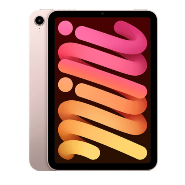 iPad Mini 6 256GB 99%